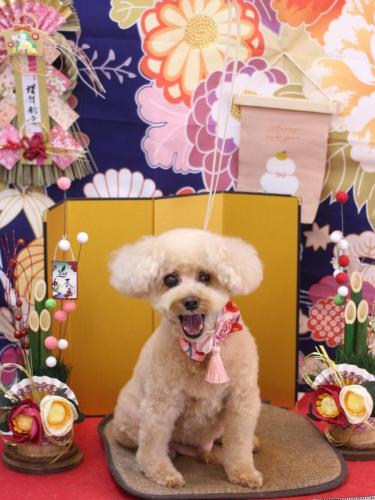 20240116クッキーくん